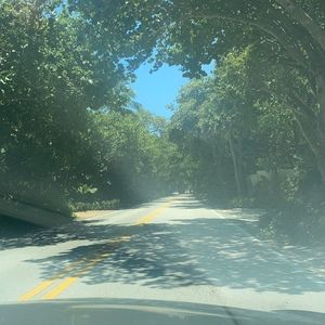 Meet your Posher, Tracey